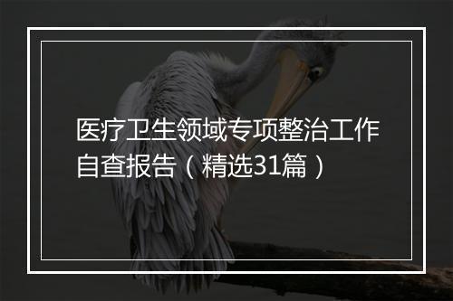 医疗卫生领域专项整治工作自查报告（精选31篇）