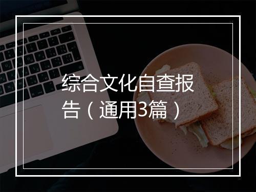 综合文化自查报告（通用3篇）