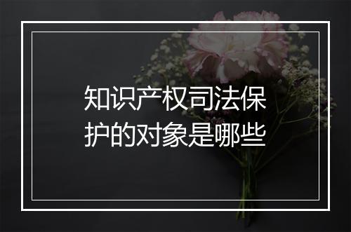 知识产权司法保护的对象是哪些