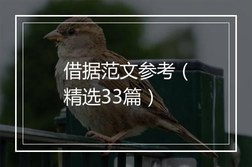 借据范文参考（精选33篇）