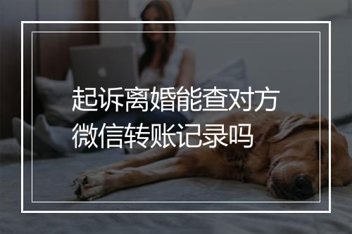 起诉离婚能查对方微信转账记录吗