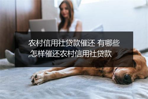 农村信用社贷款催还 有哪些,怎样催还农村信用社贷款