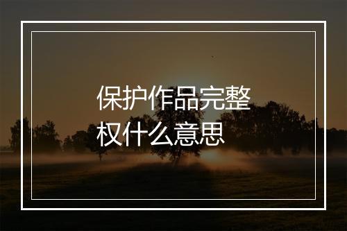 保护作品完整权什么意思