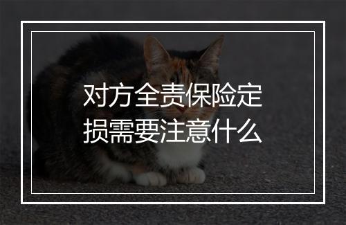 对方全责保险定损需要注意什么