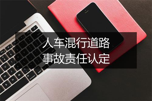 人车混行道路事故责任认定