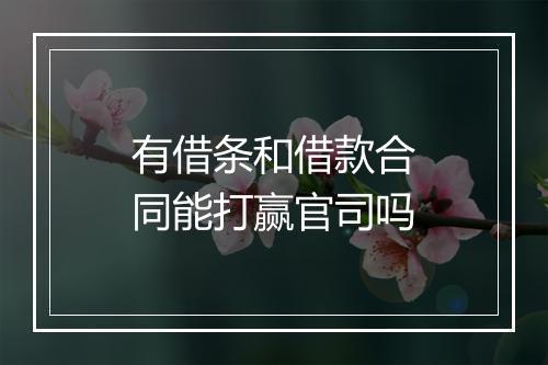 有借条和借款合同能打赢官司吗