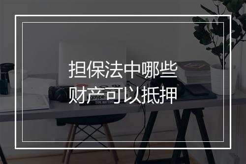 担保法中哪些财产可以抵押