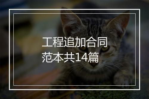 工程追加合同范本共14篇