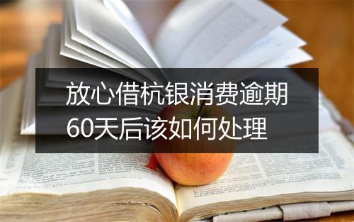 放心借杭银消费逾期60天后该如何处理