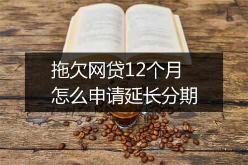 拖欠网贷12个月怎么申请延长分期