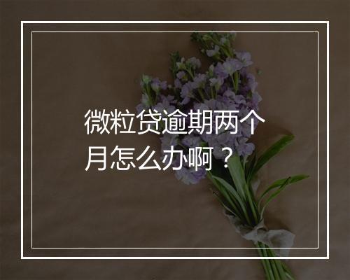 微粒贷逾期两个月怎么办啊？