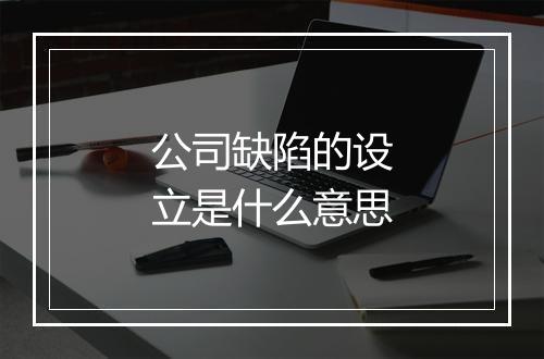 公司缺陷的设立是什么意思