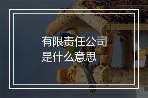 有限责任公司是什么意思