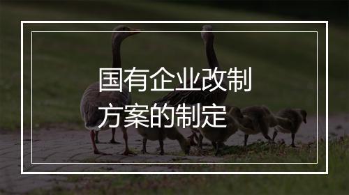 国有企业改制方案的制定