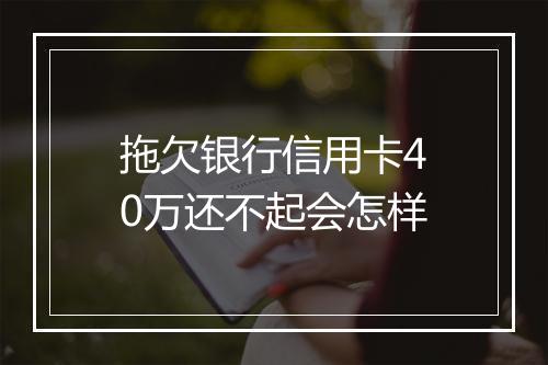 拖欠银行信用卡40万还不起会怎样