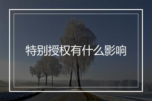 特别授权有什么影响
