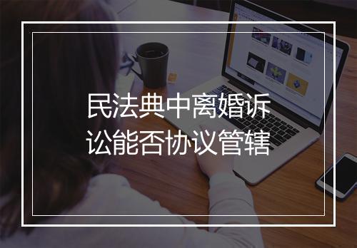 民法典中离婚诉讼能否协议管辖