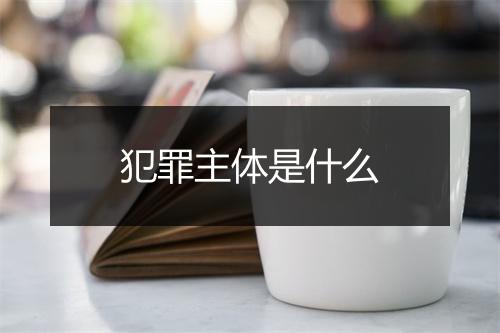 犯罪主体是什么