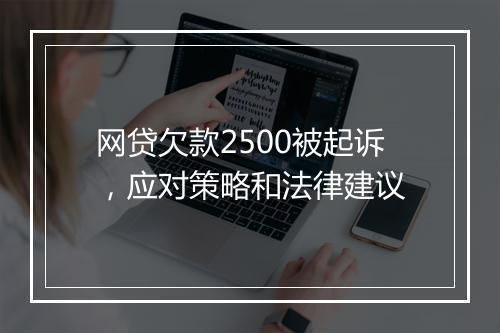 网贷欠款2500被起诉，应对策略和法律建议