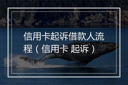 信用卡起诉借款人流程（信用卡 起诉）