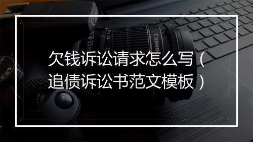 欠钱诉讼请求怎么写（追债诉讼书范文模板）