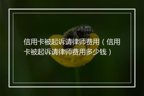 信用卡被起诉请律师费用（信用卡被起诉请律师费用多少钱）