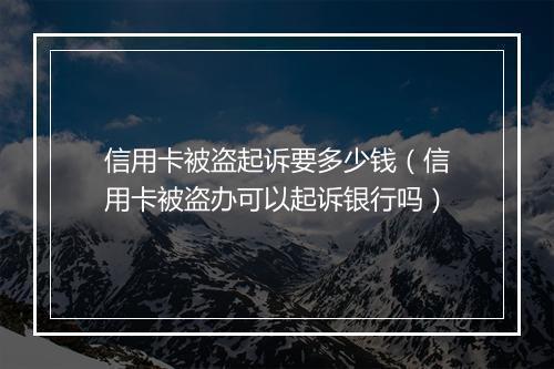 信用卡被盗起诉要多少钱（信用卡被盗办可以起诉银行吗）