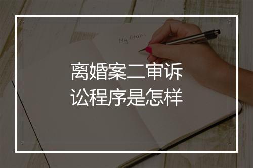 离婚案二审诉讼程序是怎样