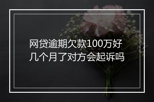 网贷逾期欠款100万好几个月了对方会起诉吗