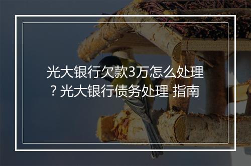 光大银行欠款3万怎么处理？光大银行债务处理 指南