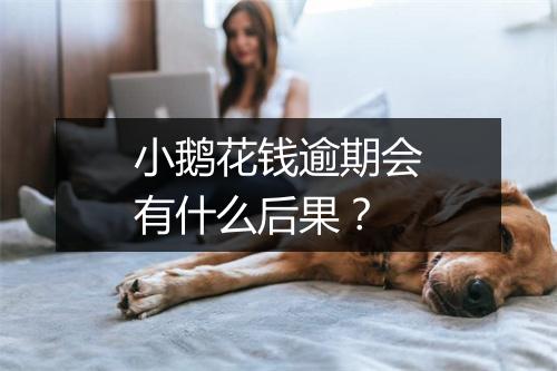 小鹅花钱逾期会有什么后果？