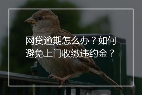 网贷逾期怎么办？如何避免上门收缴违约金？