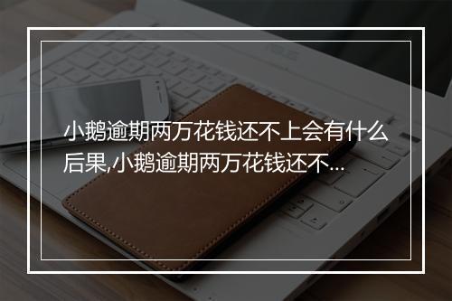 小鹅逾期两万花钱还不上会有什么后果,小鹅逾期两万花钱还不上会有什么处罚