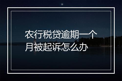 农行税贷逾期一个月被起诉怎么办