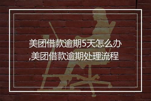 美团借款逾期5天怎么办,美团借款逾期处理流程