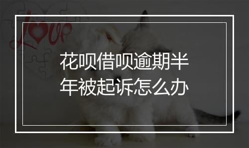 花呗借呗逾期半年被起诉怎么办