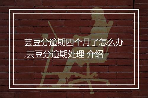 芸豆分逾期四个月了怎么办,芸豆分逾期处理 介绍