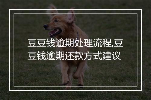 豆豆钱逾期处理流程,豆豆钱逾期还款方式建议