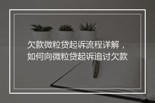 欠款微粒贷起诉流程详解，如何向微粒贷起诉追讨欠款