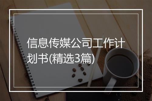 信息传媒公司工作计划书(精选3篇)