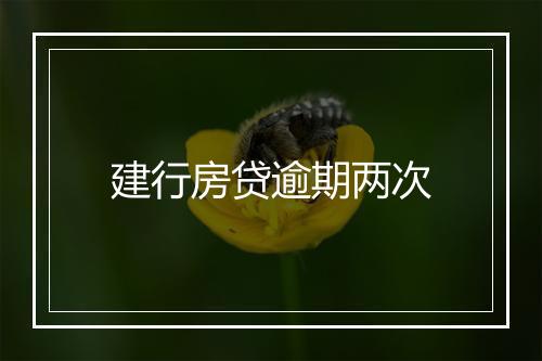 建行房贷逾期两次