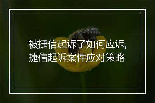 被捷信起诉了如何应诉,捷信起诉案件应对策略