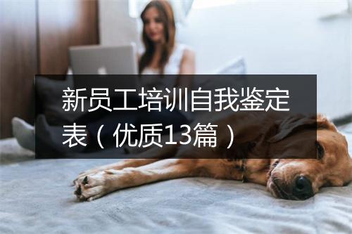 新员工培训自我鉴定表（优质13篇）