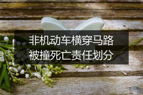 非机动车横穿马路被撞死亡责任划分