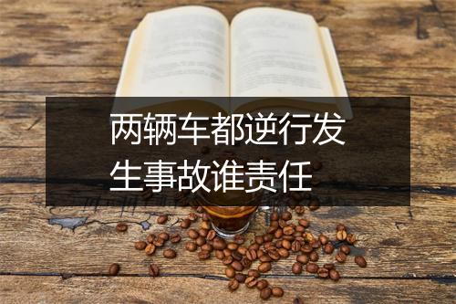 两辆车都逆行发生事故谁责任