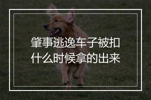 肇事逃逸车子被扣什么时候拿的出来