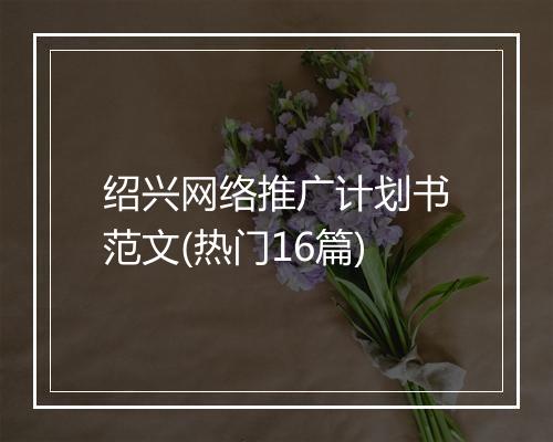 绍兴网络推广计划书范文(热门16篇)