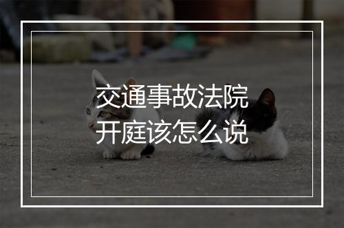 交通事故法院开庭该怎么说