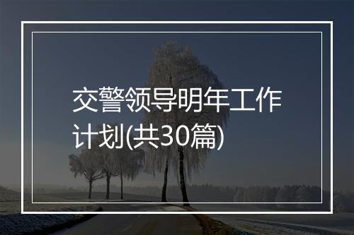 交警领导明年工作计划(共30篇)