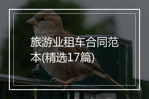 旅游业租车合同范本(精选17篇)